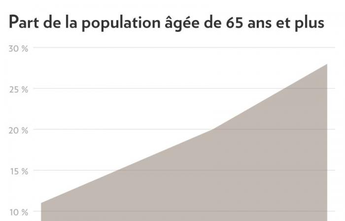 Medici di famiglia | Negoziare per gli orfani