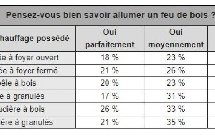 Settore immobiliare: il 51% dei francesi dotati di caminetto non sa come accendere un fuoco