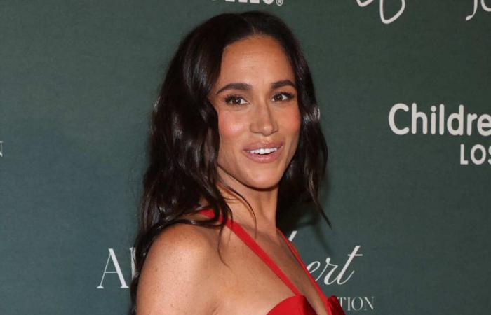 Meghan Markle in subbuglio, la sua ex guardia del corpo esce dal silenzio