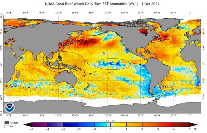 Previsioni di Grasshopper sulla stagione della neve in Giappone 2024-2025: il potenziale La Niña potrebbe dare i frutti sperati