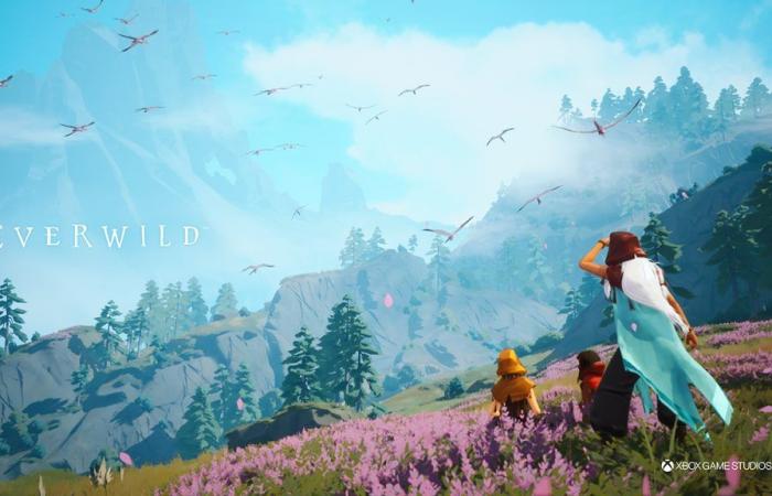 Everwild: lo sviluppo andrebbe bene, il loop del gameplay sarebbe stato sviluppato | Xbox