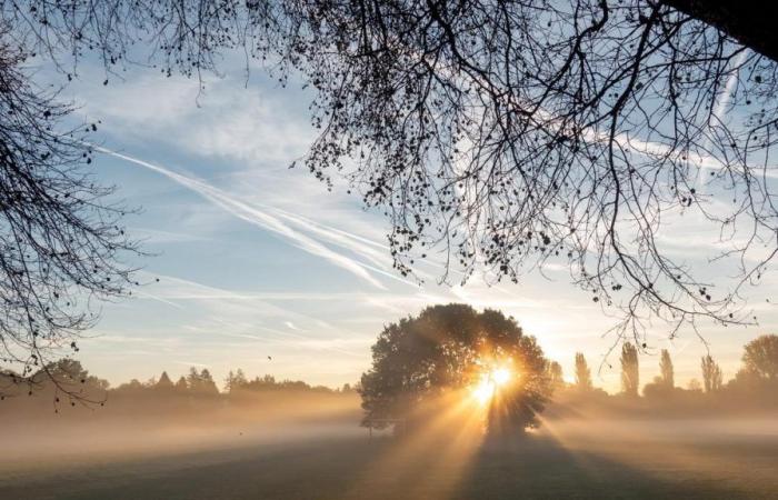 Assia: Tempo autunnale: un tocco di ottobre dorato tocca l’Assia