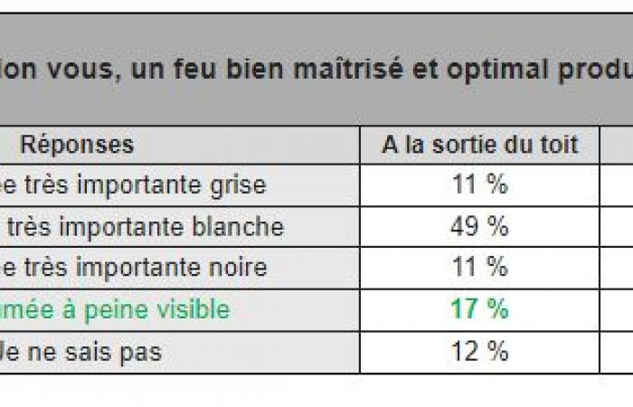 Settore immobiliare: il 51% dei francesi dotati di caminetto non sa come accendere un fuoco