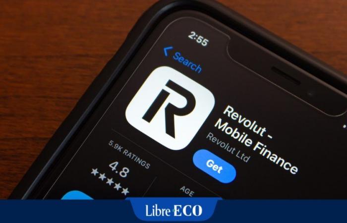 A questo cliente Revolut sono stati rubati quasi 200.000 euro: “Le misure di sicurezza della banca non sono sufficienti”