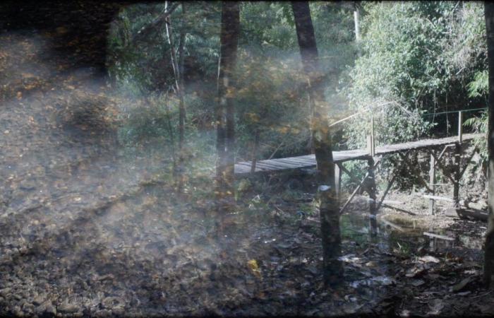 “Particelle della notte”: a Beaubourg, i sogni che si muovono di Apichatpong Weerasethakul