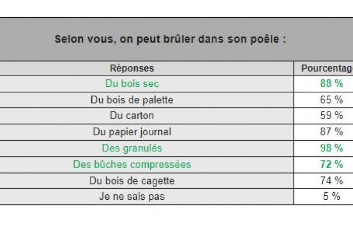 Settore immobiliare: il 51% dei francesi dotati di caminetto non sa come accendere un fuoco