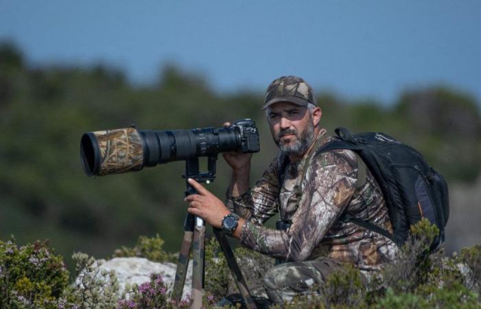 Abdelghani Mida raffigura la fauna selvatica del Marocco [Portrait]