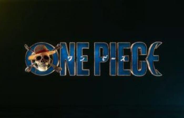 L’anime di One Piece è in pausa