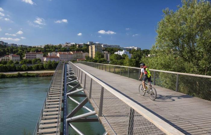 Saint-Cyr, Ecully, Vénissieux… Prezzi degli immobili nella Grande Lione