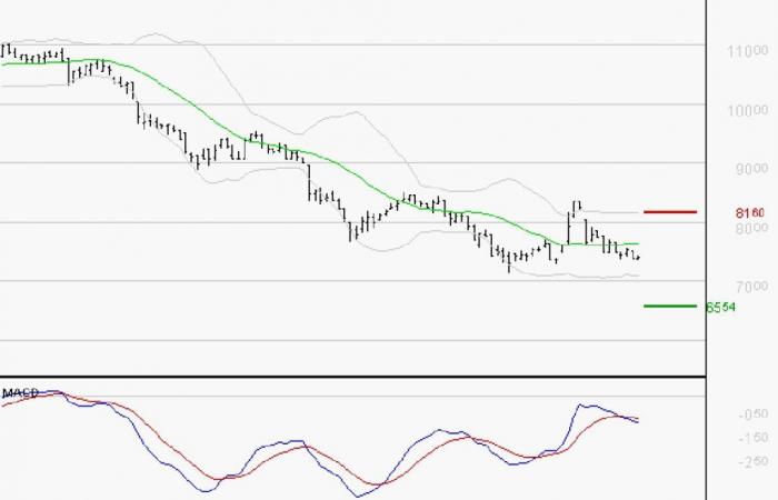 PEUGEOT INVEST: La tendenza al ribasso potrebbe riprendere – 14/10/2024 alle 10:05