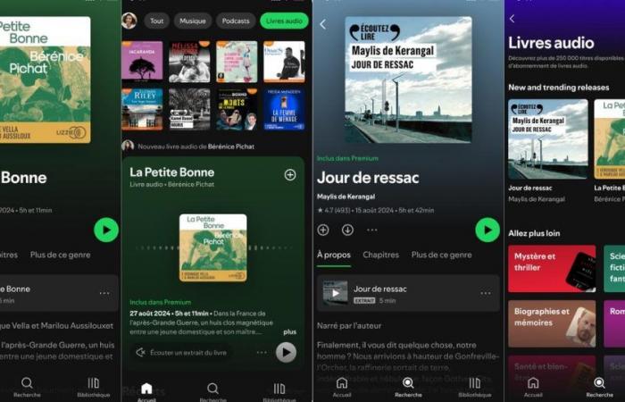 Spotify collabora con i giganti dell’editoria francese per lanciare la sua offerta di audiolibri questo lunedì