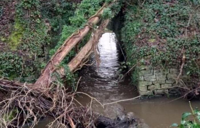 una giornata di soccorso urgente per il ponte ferroviario Petit