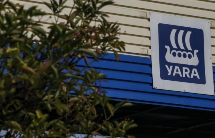 Prezzi elevati del gas, decarbonizzazione… le ragioni dei licenziamenti in Yara