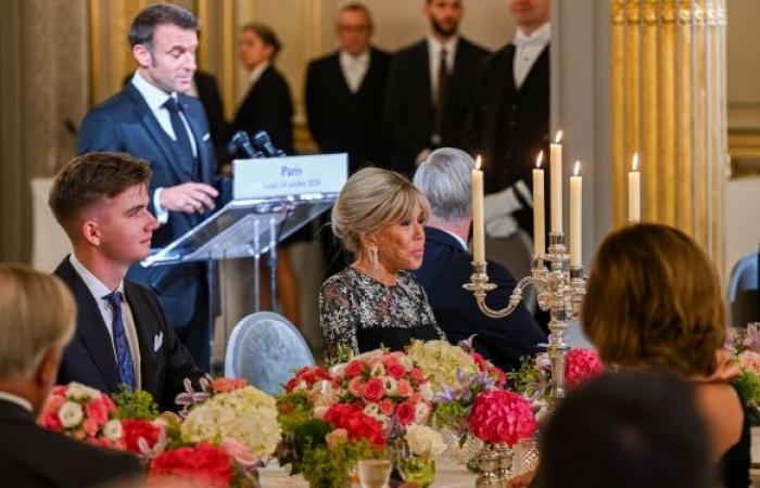 Re Filippo brinda con Emmanuel Macron: scopri le foto della sontuosa cena di stato all’Eliseo