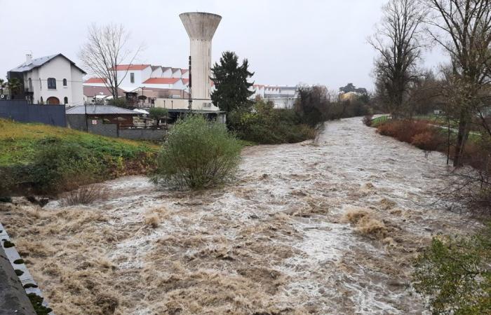 i settori più minacciati