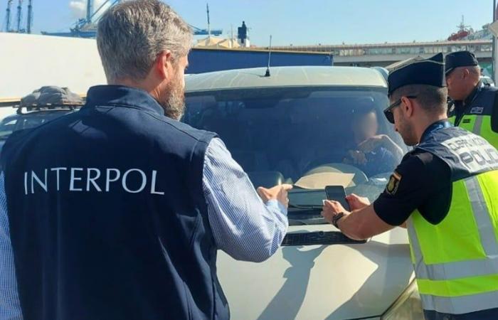 66 arresti in un’operazione coordinata dall’Interpol in 14 paesi, compreso il Marocco