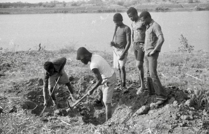 quando i lavoratori migranti tornano a casa per coltivare la terra