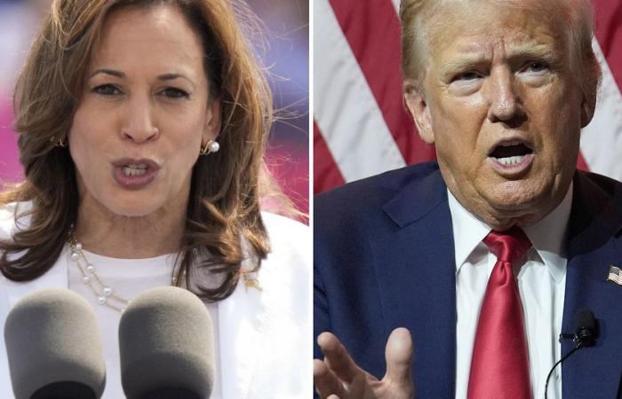 Usa: si riduce il divario tra Harris e Trump, la Georgia già vota