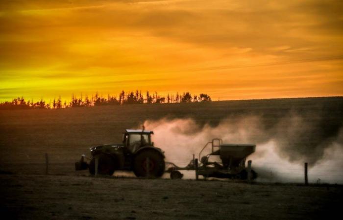 ruralità sotto shock