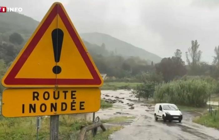 “Sta diventando pericoloso”: gli abitanti del Gard e delle Alpi Marittime sorpresi dall’intensità dell’episodio delle Cévennes