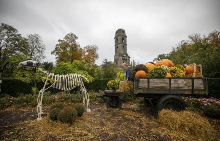 Vacanze di Ognissanti: 10 idee per festeggiare Halloween in famiglia nel Nord e nel Passo di Calais