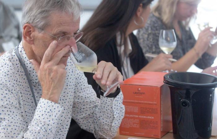 DIJON: Durante il Congresso Mondiale della Vigna e del Vino, il Giura e la Borgogna hanno offerto dei workshop