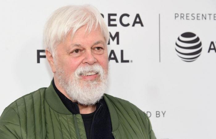 Paul Watson ha scritto a Emmanuel Macron per chiedere “asilo politico” alla Francia