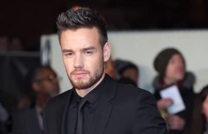 L’amicizia tra Harry Styles e Liam Payne nel corso degli anni: cronologia