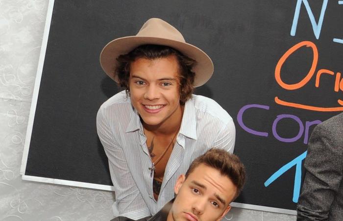 L’amicizia tra Harry Styles e Liam Payne nel corso degli anni: cronologia