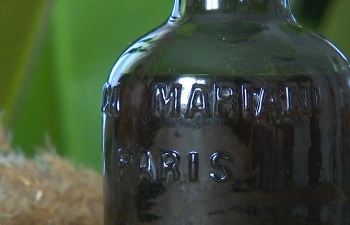 La Coca-Cola è stata inventata in Francia? In Corsica, il ritrovamento di una vecchia bottiglia semina guai