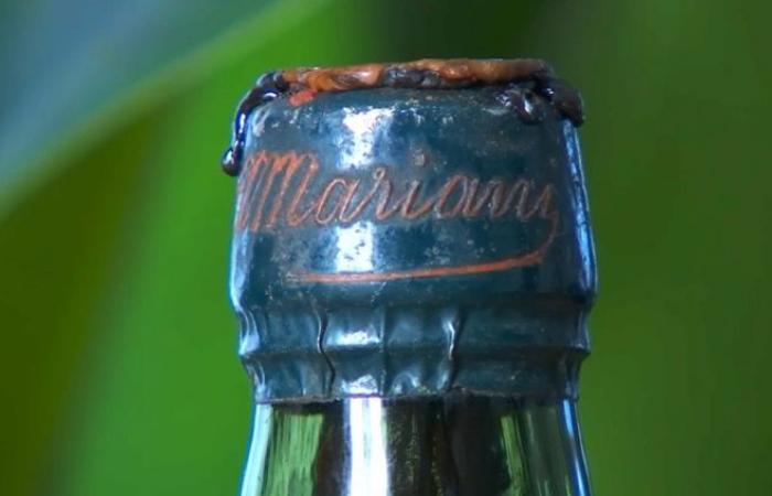 La Coca-Cola è stata inventata in Francia? In Corsica, il ritrovamento di una vecchia bottiglia semina guai