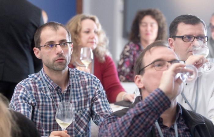 DIJON: Durante il Congresso Mondiale della Vigna e del Vino, il Giura e la Borgogna hanno offerto dei workshop