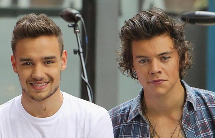 L’amicizia tra Harry Styles e Liam Payne nel corso degli anni: cronologia