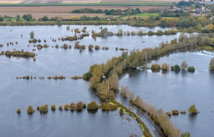 Meteo nel Regno Unito: il Met Office avverte di interruzioni di corrente e inondazioni mentre una forte pioggia si abbatte sugli inglesi: la tua zona è colpita?