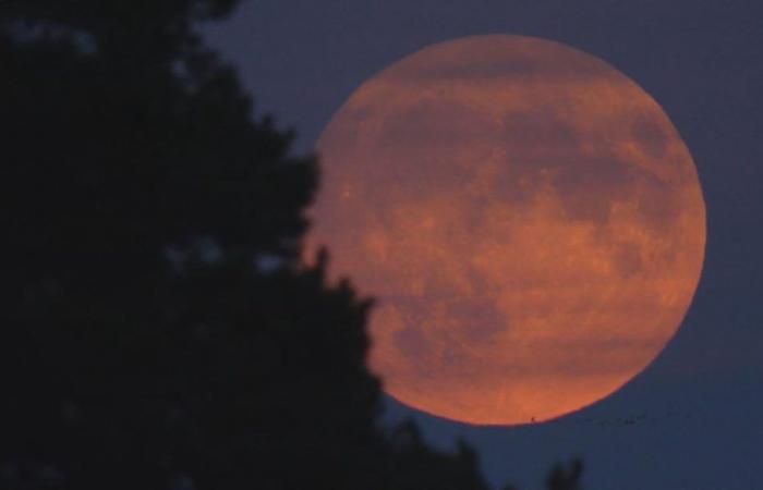 Quando la luna piena più grande del 2024 sarà nel cielo