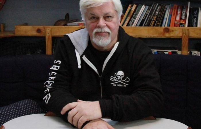 Paul Watson ha chiesto asilo politico in Francia a Emmanuel Macron, annuncia Sea Shepherd – Libération