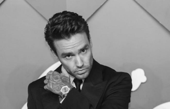 L’ex star dei One Direction Liam Payne è tutto