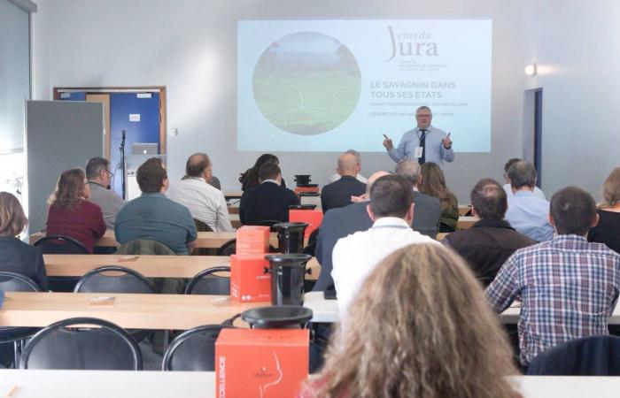 DIJON: Durante il Congresso Mondiale della Vigna e del Vino, il Giura e la Borgogna hanno offerto dei workshop