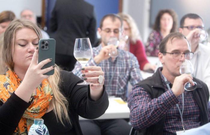 DIJON: Durante il Congresso Mondiale della Vigna e del Vino, il Giura e la Borgogna hanno offerto dei workshop