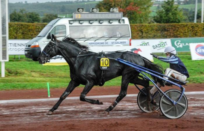 PMU – Arrivo del quinte mercoledì 16 ottobre a Saint-Galmier: Iguski salta dall’inizio alla fine