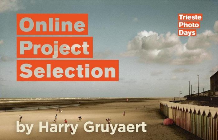 Selezione dei progetti online di Harry Gruyaert