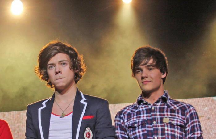 L’amicizia tra Harry Styles e Liam Payne nel corso degli anni: cronologia