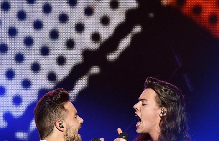 L’amicizia tra Harry Styles e Liam Payne nel corso degli anni: cronologia