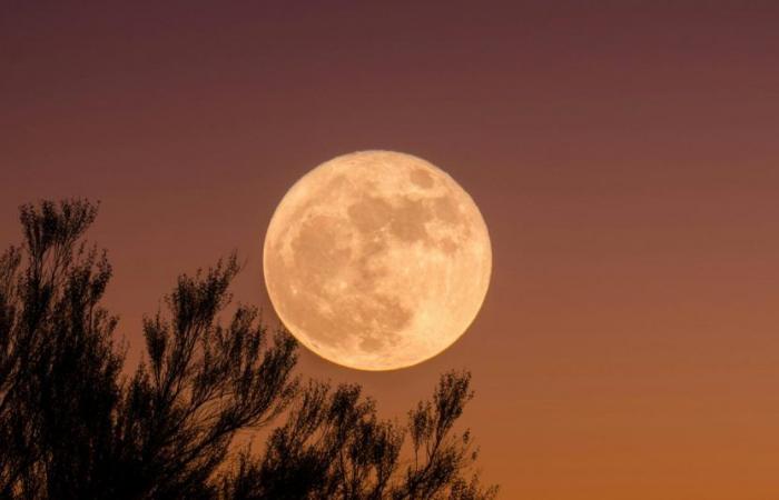 La Luna Piena del 17 ottobre sarà la più affascinante dell’anno