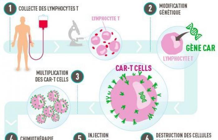 Cellule CAR-T, ricercatori contro il cancro