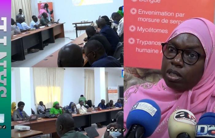 “Ci sono più di 7 milioni di persone in Senegal che sono esposte a queste malattie…” (Dr Ndèye Mb. Kane)