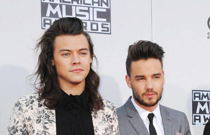 L’amicizia tra Harry Styles e Liam Payne nel corso degli anni: cronologia