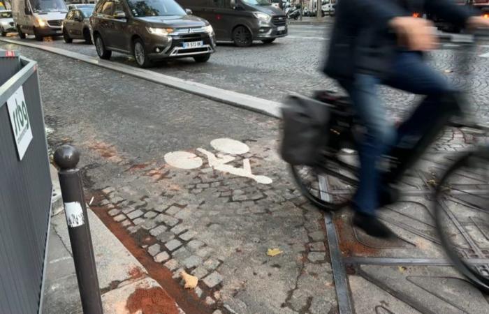 commozione nella comunità ciclistica di Parigi, dopo la morte di un ciclista schiacciato da un automobilista