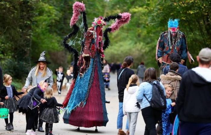 Vacanze di Ognissanti: 10 idee per festeggiare Halloween in famiglia nel Nord e nel Passo di Calais