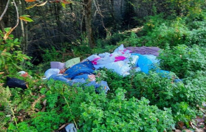 Creuse: lenzuola, coperte, materassi gettati in un bosco a Saint-Sulpice-le-Dunois